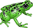 Abeoth Frog