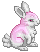 unnamed Cottontail