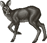 unnamed Deer John