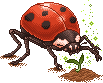 Ladybug the secret Gardener