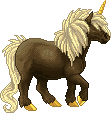 Lars Hendrik Black Forest Pony